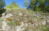 Adscita jordani: Habitat mit Rumex acetosella agg. (Zentralspanien, Avila, Sierra de Gredos, Cuevas del Valle, Ende April 2024) [N]