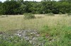 Zygaena purpuralis: Habitat (Ostalb, Juli 2013) [N]