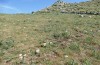 Jordanita tenuicornis: Habitat (Italy, Sicily, Trapani, San Vito lo Capo, 5./6. May 2024) [N]