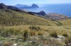 Jordanita tenuicornis: Habitat (Italy, Sicily, Trapani, San Vito lo Capo, 5./6. May 2024) [N]